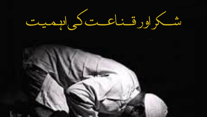 شکر اور قناعت کی اہمیت